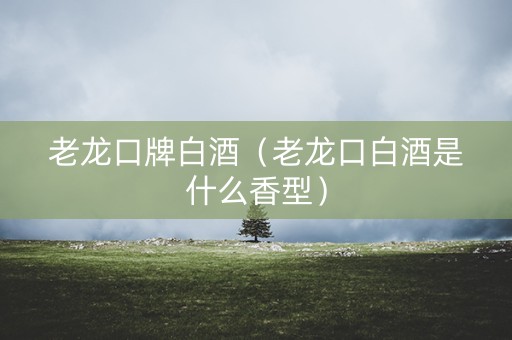 老龙口牌白酒（老龙口白酒是什么香型）