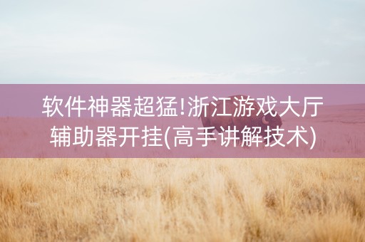 软件神器超猛!浙江游戏大厅辅助器开挂(高手讲解技术)