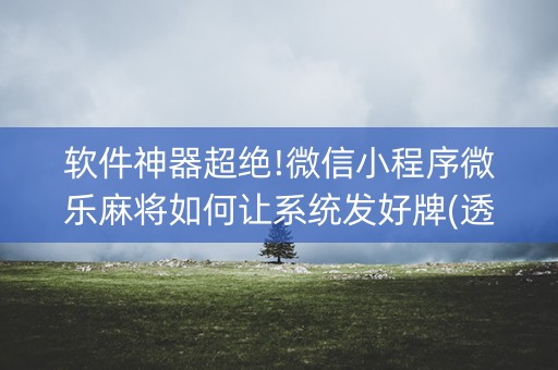 软件神器超绝!微信小程序微乐麻将如何让系统发好牌(透明器教程)