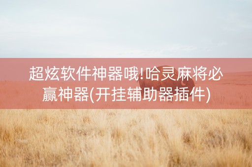 超炫软件神器哦!哈灵麻将必赢神器(开挂辅助器插件)