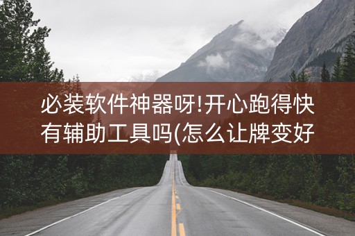 必装软件神器呀!开心跑得快有辅助工具吗(怎么让牌变好)