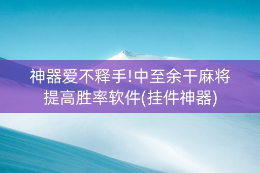 神器爱不释手!中至余干麻将提高胜率软件(挂件神器)