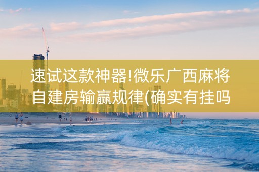 速试这款神器!微乐广西麻将自建房输赢规律(确实有挂吗)