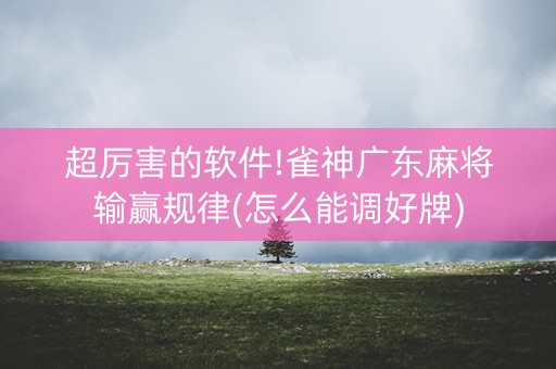 超厉害的软件!雀神广东麻将输赢规律(怎么能调好牌)