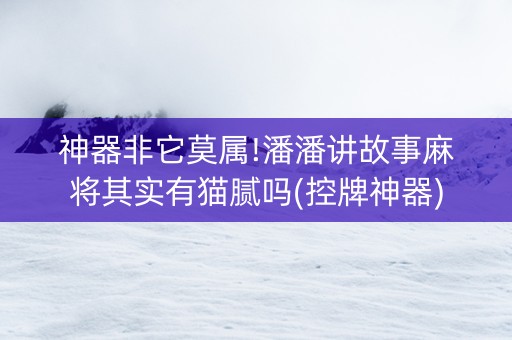 神器非它莫属!潘潘讲故事麻将其实有猫腻吗(控牌神器)