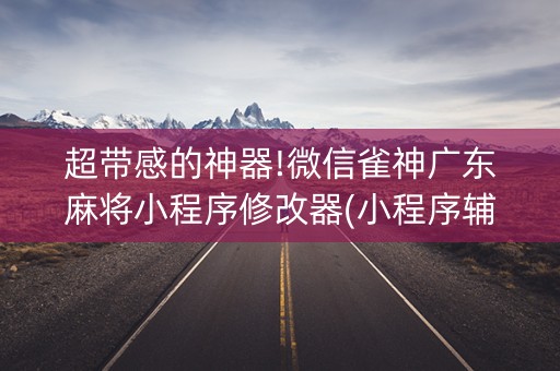 超带感的神器!微信雀神广东麻将小程序修改器(小程序辅助软件)