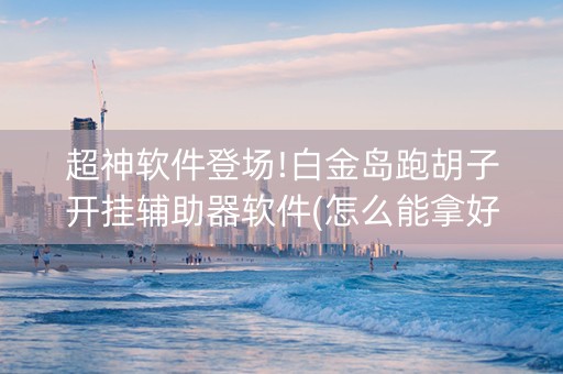 超神软件登场!白金岛跑胡子开挂辅助器软件(怎么能拿好牌)