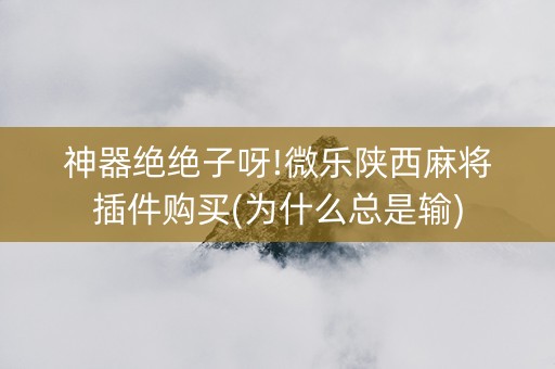 神器绝绝子呀!微乐陕西麻将插件购买(为什么总是输)