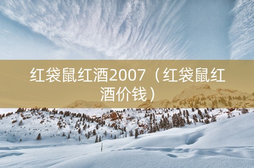 红袋鼠红酒2007（红袋鼠红酒价钱）