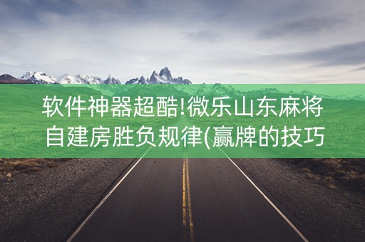 软件神器超酷!微乐山东麻将自建房胜负规律(赢牌的技巧)