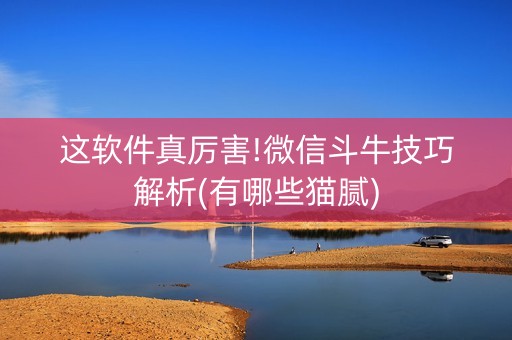 这软件真厉害!微信斗牛技巧解析(有哪些猫腻)