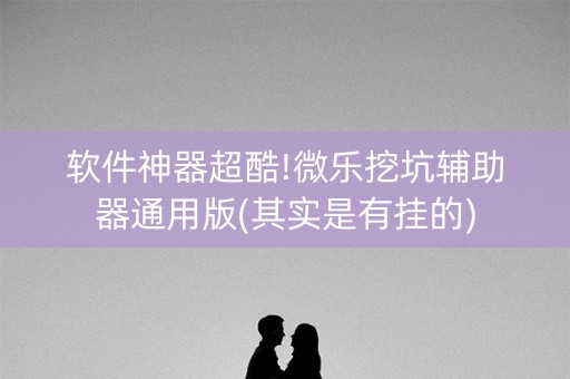 软件神器超酷!微乐挖坑辅助器通用版(其实是有挂的)