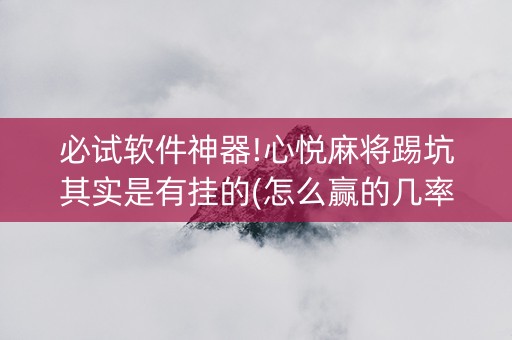 必试软件神器!心悦麻将踢坑其实是有挂的(怎么赢的几率大)