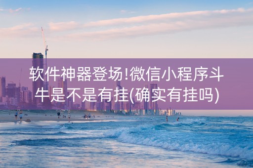 软件神器登场!微信小程序斗牛是不是有挂(确实有挂吗)