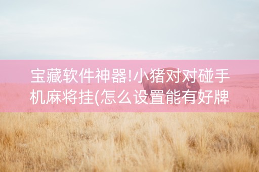 宝藏软件神器!小猪对对碰手机麻将挂(怎么设置能有好牌)