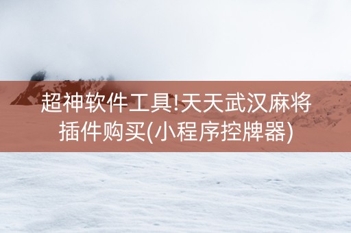 超神软件工具!天天武汉麻将插件购买(小程序控牌器)