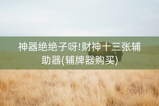 神器绝绝子呀!财神十三张辅助器(辅牌器购买)