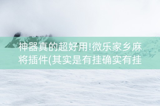 神器真的超好用!微乐家乡麻将插件(其实是有挂确实有挂)