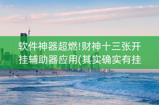 软件神器超燃!财神十三张开挂辅助器应用(其实确实有挂)