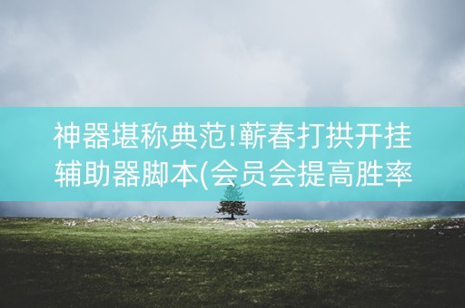 神器堪称典范!蕲春打拱开挂辅助器脚本(会员会提高胜率吗)