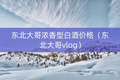 东北大哥浓香型白酒价格（东北大哥vlog）