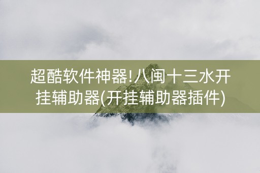 超酷软件神器!八闽十三水开挂辅助器(开挂辅助器插件)