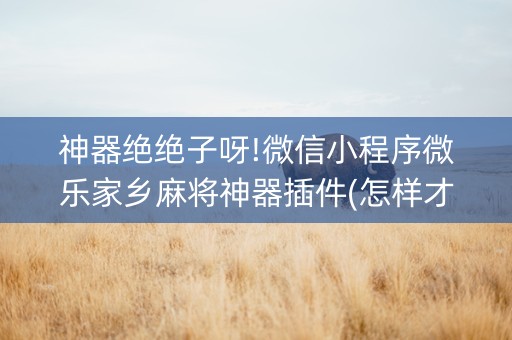 神器绝绝子呀!微信小程序微乐家乡麻将神器插件(怎样才能赢)