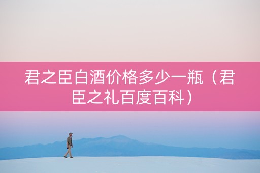 君之臣白酒价格多少一瓶（君臣之礼百度百科）