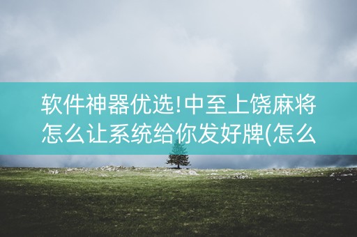 软件神器优选!中至上饶麻将怎么让系统给你发好牌(怎么提手拿好牌)