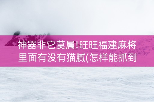 神器非它莫属!旺旺福建麻将里面有没有猫腻(怎样能抓到好牌)