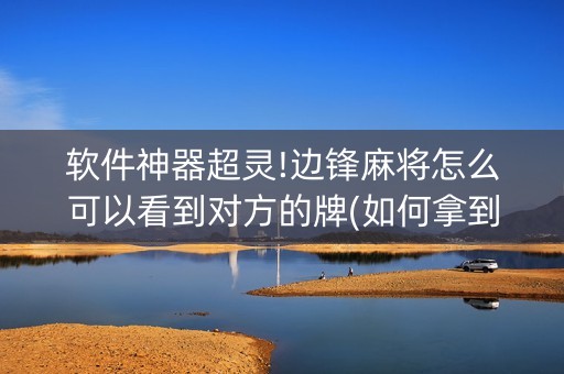 软件神器超灵!边锋麻将怎么可以看到对方的牌(如何拿到好牌)