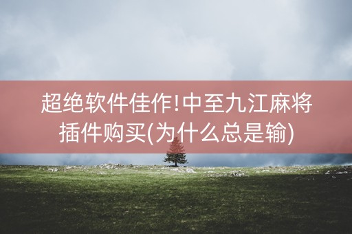 超绝软件佳作!中至九江麻将插件购买(为什么总是输)