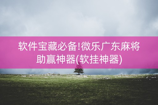 软件宝藏必备!微乐广东麻将助赢神器(软挂神器)
