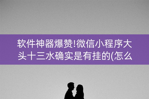 软件神器爆赞!微信小程序大头十三水确实是有挂的(怎么赢得多)