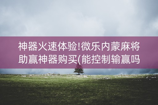 神器火速体验!微乐内蒙麻将助赢神器购买(能控制输赢吗)