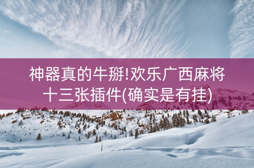 神器真的牛掰!欢乐广西麻将十三张插件(确实是有挂)