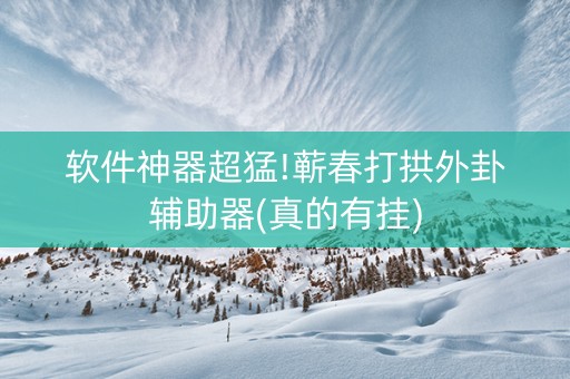 软件神器超猛!蕲春打拱外卦辅助器(真的有挂)