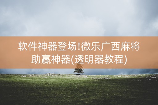 软件神器登场!微乐广西麻将助赢神器(透明器教程)