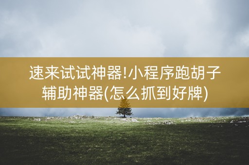 速来试试神器!小程序跑胡子辅助神器(怎么抓到好牌)