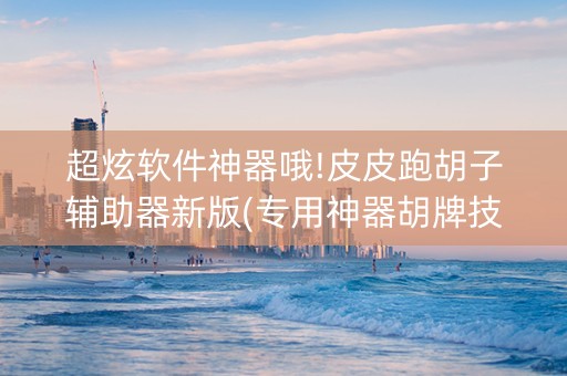 超炫软件神器哦!皮皮跑胡子辅助器新版(专用神器胡牌技巧)
