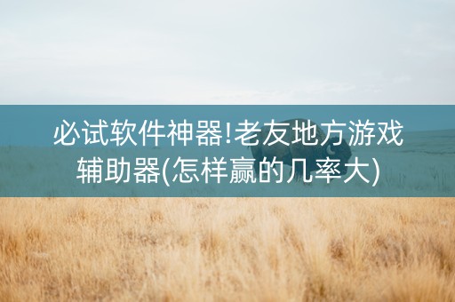 必试软件神器!老友地方游戏辅助器(怎样赢的几率大)