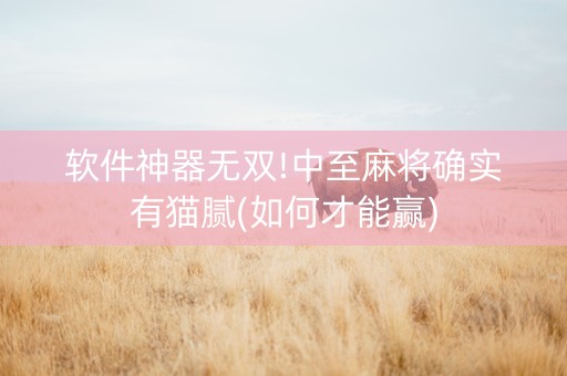 软件神器无双!中至麻将确实有猫腻(如何才能赢)
