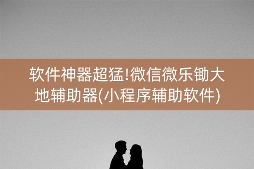 软件神器超猛!微信微乐锄大地辅助器(小程序辅助软件)
