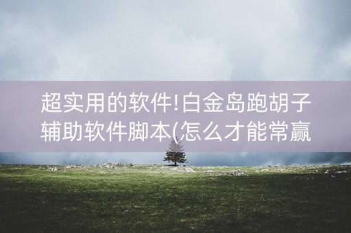 超实用的软件!白金岛跑胡子辅助软件脚本(怎么才能常赢)