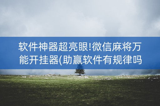 软件神器超亮眼!微信麻将万能开挂器(助赢软件有规律吗)