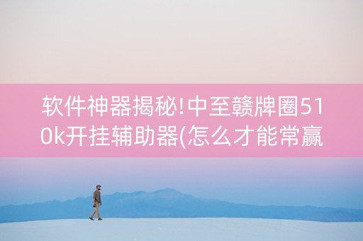 软件神器揭秘!中至赣牌圈510k开挂辅助器(怎么才能常赢)