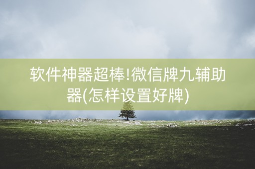 软件神器超棒!微信牌九辅助器(怎样设置好牌)