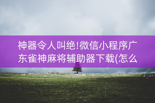神器令人叫绝!微信小程序广东雀神麻将辅助器下载(怎么抓到好牌)
