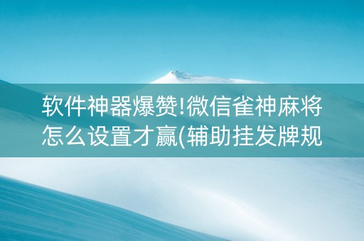 软件神器爆赞!微信雀神麻将怎么设置才赢(辅助挂发牌规律)
