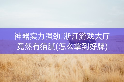 神器实力强劲!浙江游戏大厅竟然有猫腻(怎么拿到好牌)